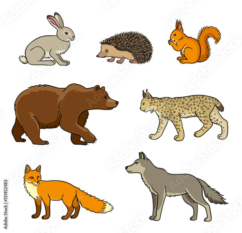 Set of vector forest animals