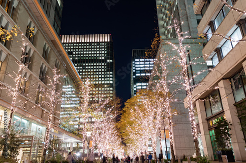 Tokyo Station in Tokyo, Japan on DEC 08, 2016. Completed in 1914, it was designated as an important cultural asset of the country in 2003. It is also 