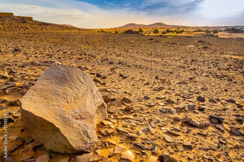 Hamada desert Sahara in Morocco