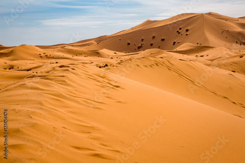 Sand dunes of the Sahara desert  Morocco