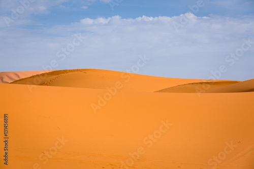 Sand dunes of the Sahara desert  Morocco