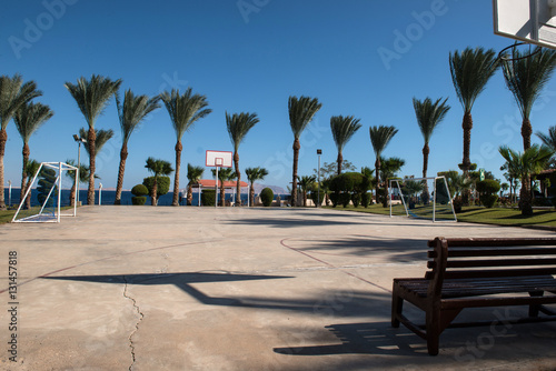 basketball backboard in the palms