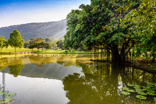 Spring Park. Lake in the spring park