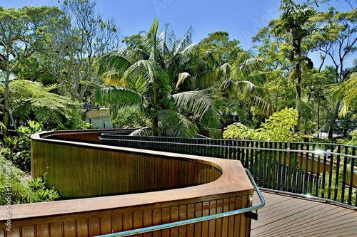 Tropical Nature Walkway..Lush tropical nature walkway at Taronga Park Zoo, Sydney, Australia. photo