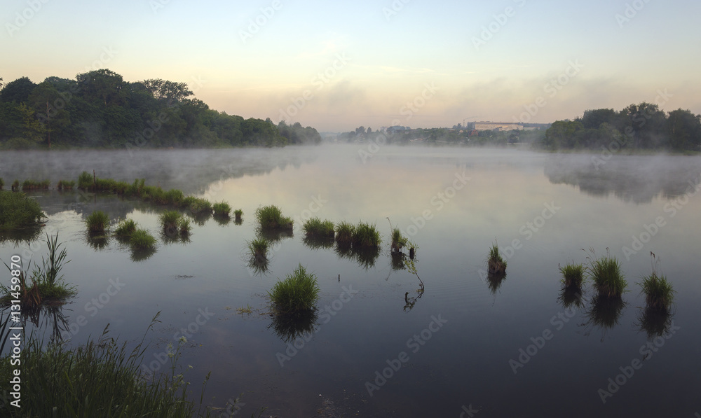 Fototapeta premium Foggy summer morning