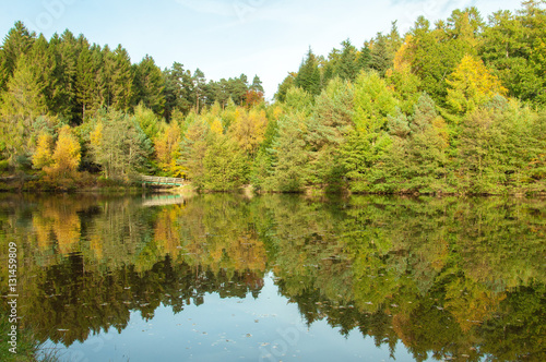 Autumn forests and reflections in the English countryside of the Forest of Dean..