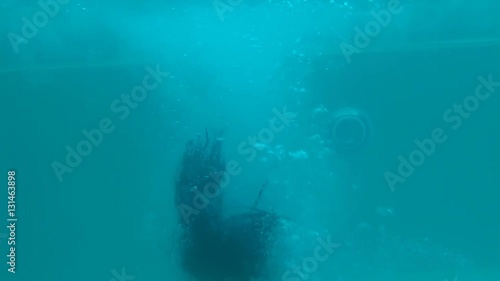 Wallpaper Mural Young woman swimming underwater Torontodigital.ca