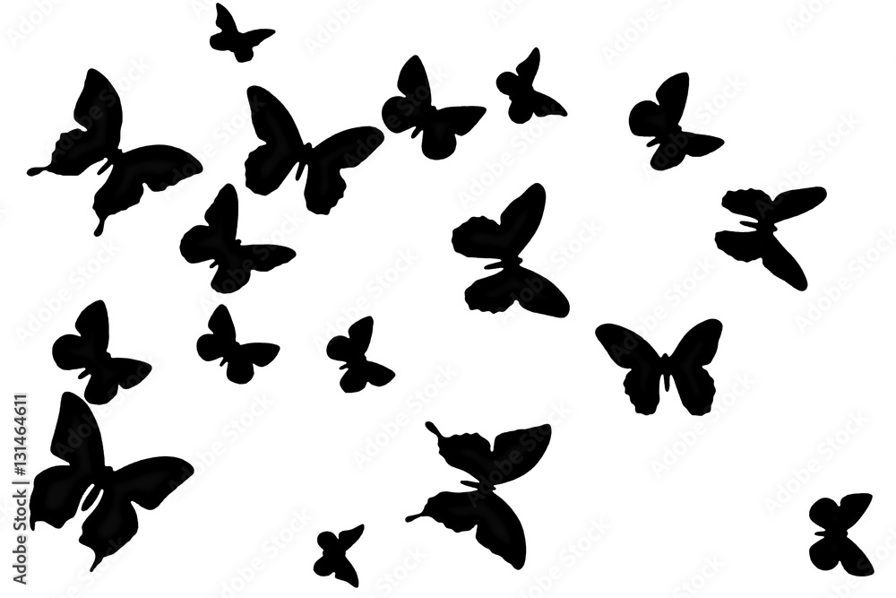 Black butterfly on a white background. Texture winged insects isolated. Nature in black and white. A lot of butterflies flying. Black butterfly on a white background. Texture winged insects isolated. Nature in black and white. A lot of butterflies flying.