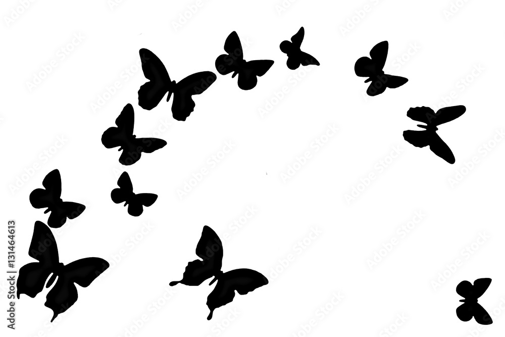 Black butterfly on white background. Texture winged insects isolated.  Nature in black and white. A lot of butterflies flying. Stock Illustration  | Adobe Stock