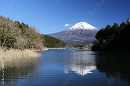 田貫湖の逆さ富士 © narautsu