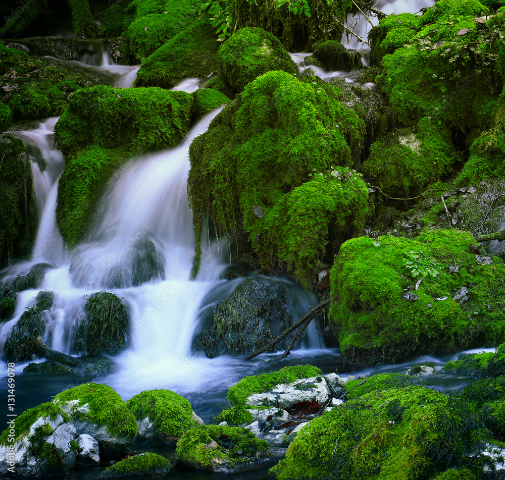 Mountain stream among the mossy stones Mountain stream among the mossy stones