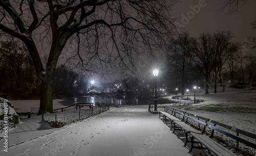 Central Park, New York City night © John Anderson
