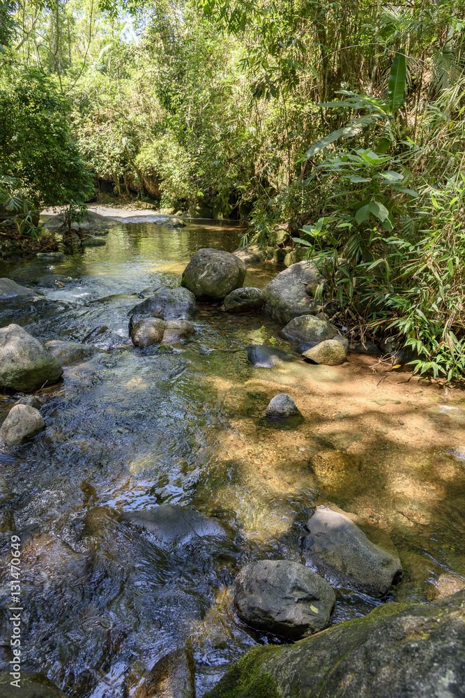 River between the rainforest of the Itatiaia National Park in Rio de Janeiro River between the rainforest of the Itatiaia National Park in Rio de Janeiro