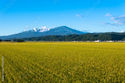 秋の田園と鳥海山