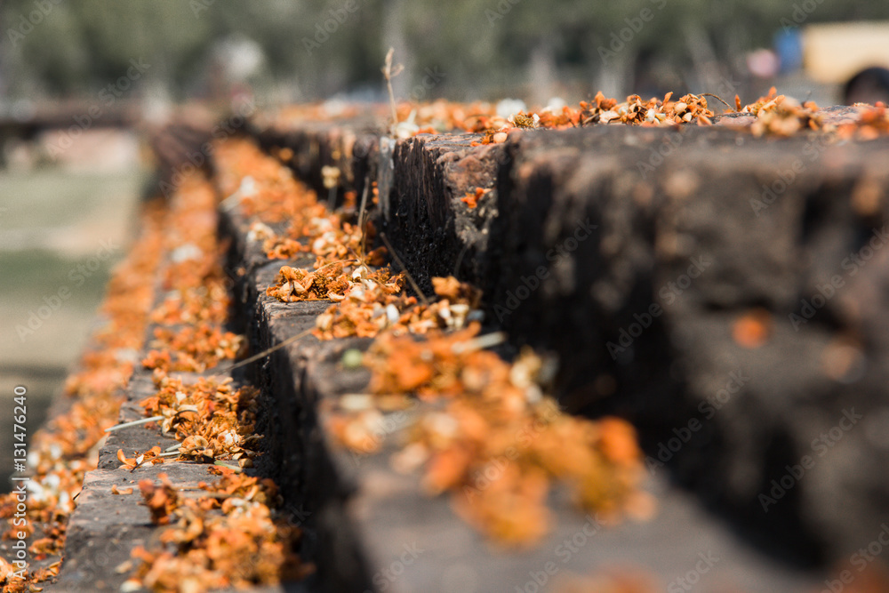 Fototapeta premium Leaves fall on brick.