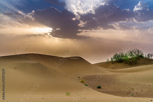 Thar Desert  Jaisalmer  India