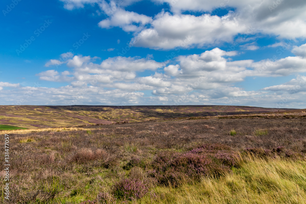 North York Moors near Percy Cross, North Yorkshire, UK