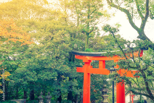 Fushimiinari Taisha ShrineTemple in Kyoto, Japan  ( Filtered ima