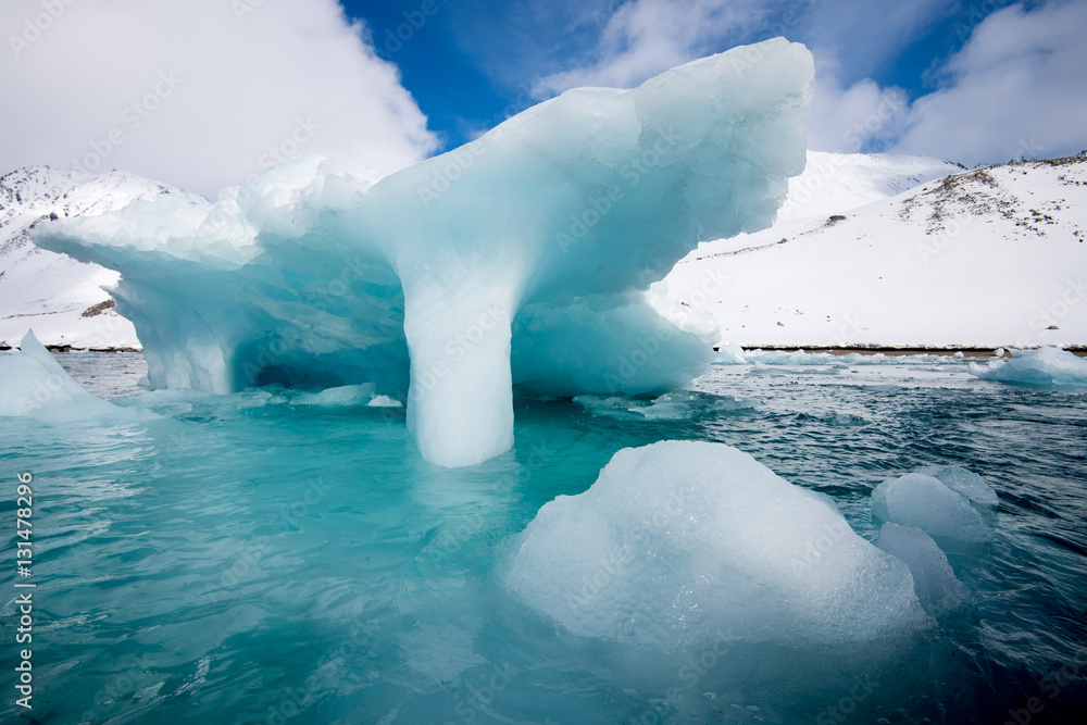 Fototapeta premium Svalbard iceberg closeup