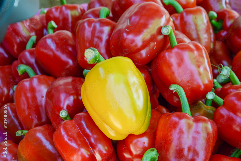 a yellow bell pepper in red bell peppers, different concept a yellow bell pepper in red bell peppers, different concept