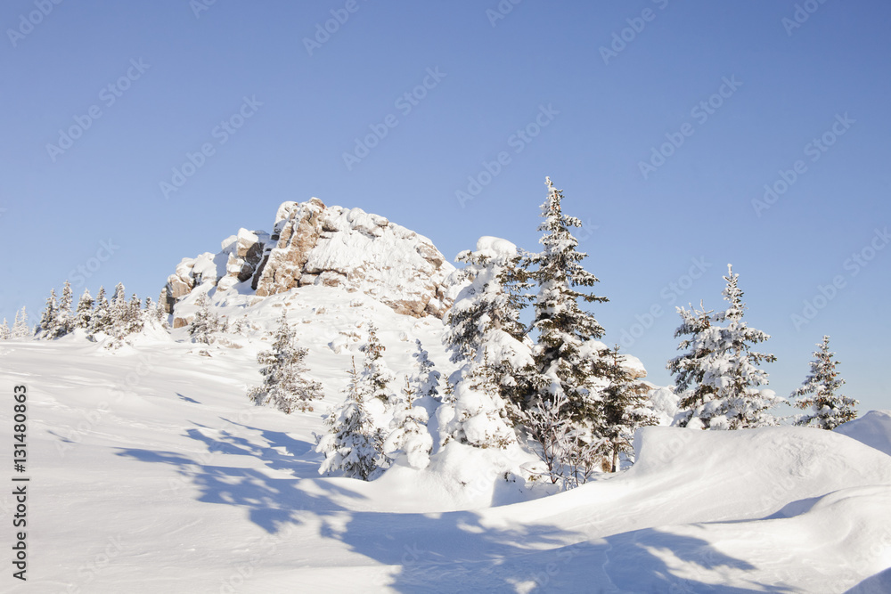 Snow covered spruces and rocks. Mountain Zyuratkul, winter lands