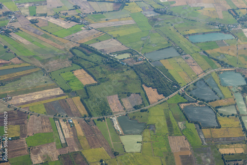 Arial view of green rice field © toonzzz