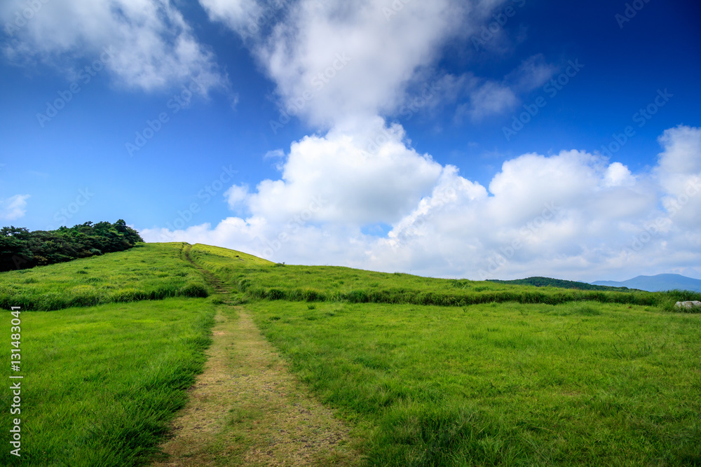 川内峠@長崎県平戸市 川内峠@長崎県平戸市