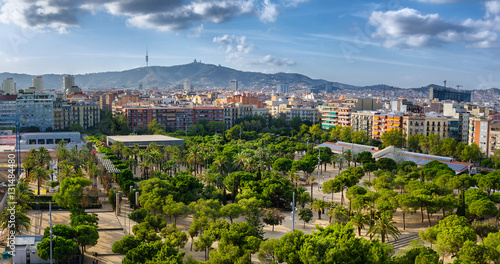 Green park with palmtrees in Barcelona, Spain