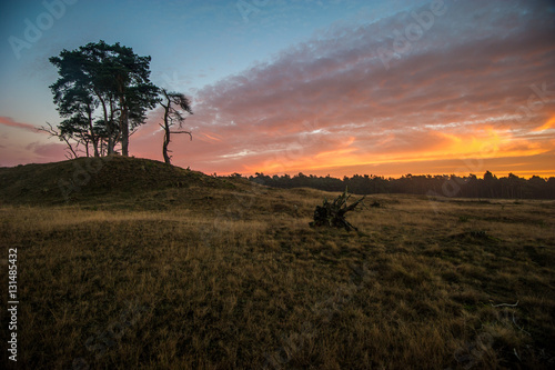 Toller Sonnenuntergang in mitten des Nationalparks De Hoge Veluwe