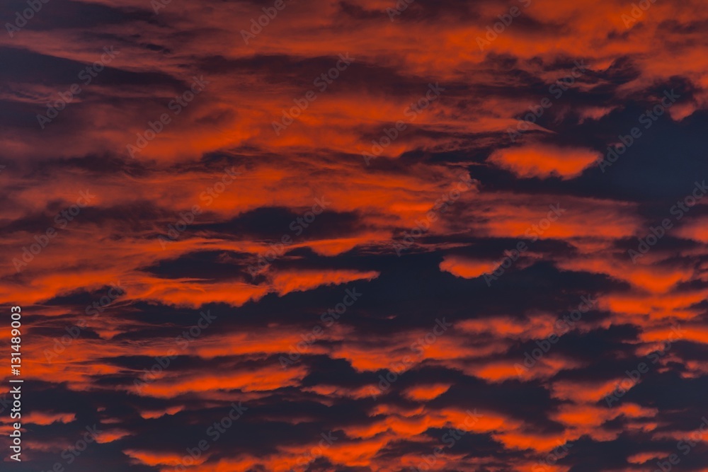 Fire in the sky. Background of the blood red evening sky and clouds. Sunset and cloudy sky with clouds  in different forms.