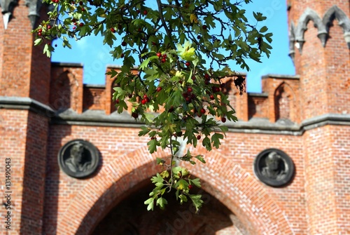 Rossgarten gate, Kaliningrad, Russia photo