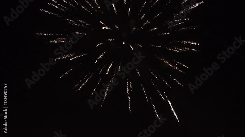 New Year fireworks on night sky