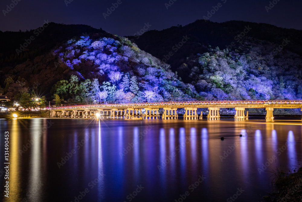 Fototapeta premium 嵐山 ライトアップ