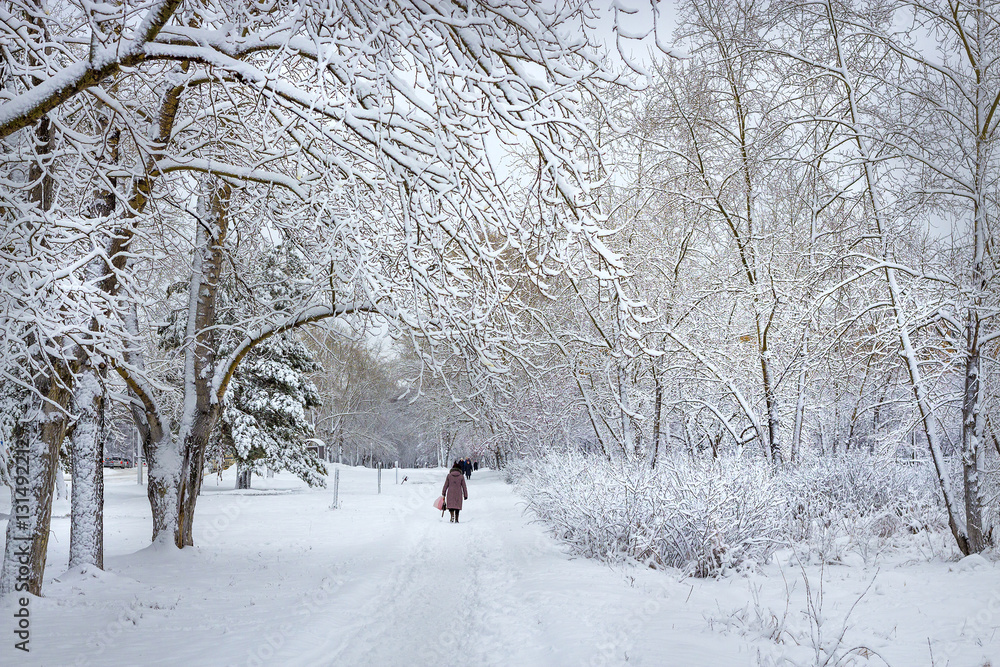 Siberian city after a snowfall Siberian city after a snowfall