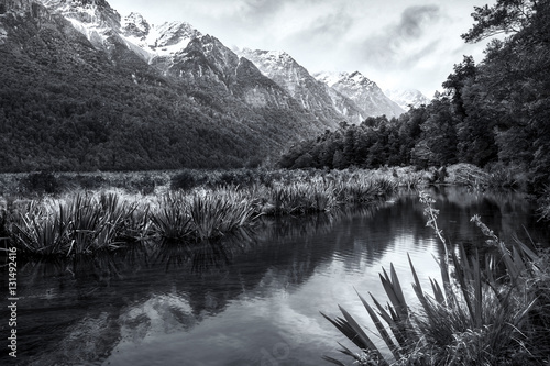 Reflections In a pond of marsh plants and snow capped hills in the background between Te Anau and Milford Sound in monochrome black and white