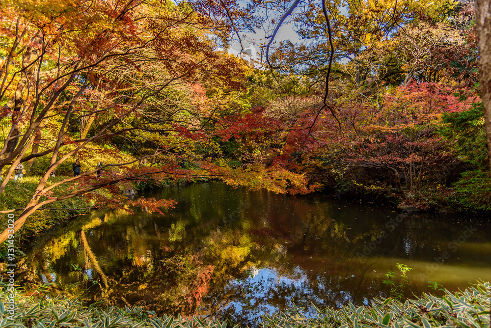 六義園の紅葉