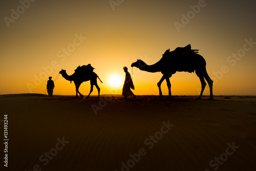Rajasthan travel background - two indian cameleers  camel drivers  with camels silhouettes in dunes of Thar desert on sunset. Jaisalmer  Rajasthan  India