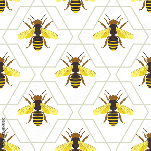 Vector seamless pattern with bee