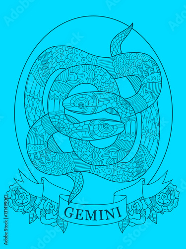 Gemini zodiac sign color drawing vector