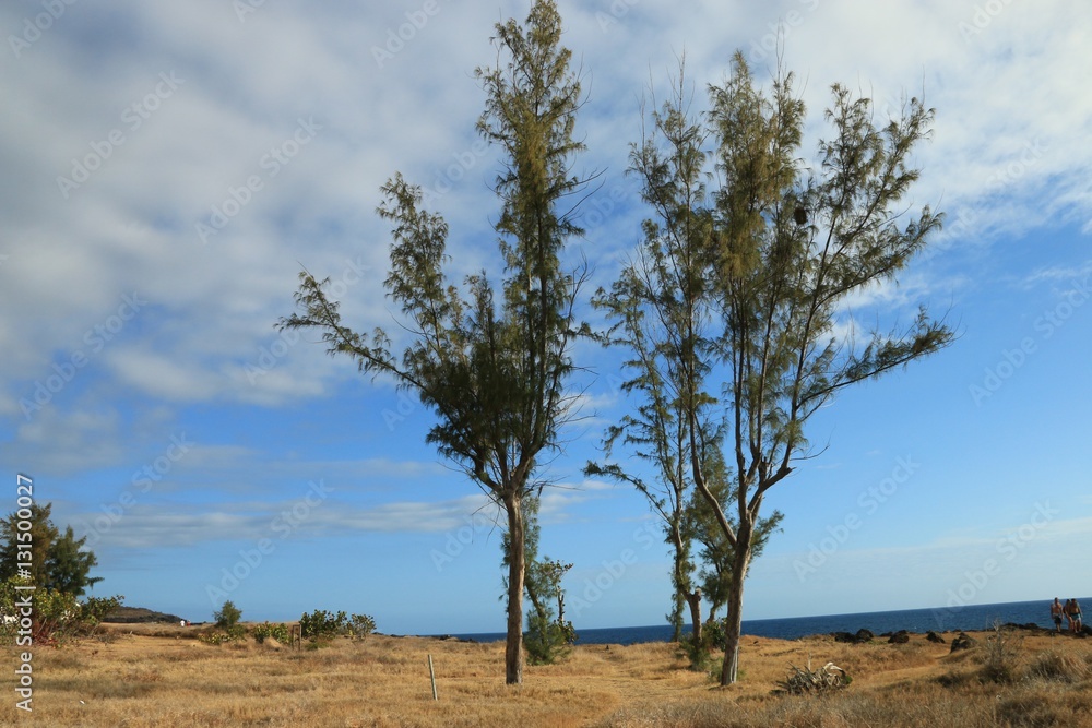 POINTE AU SEL , PITON DES ROCHES TENDRES , SAINT LEU , REUNION ISLAND , FRANCE 