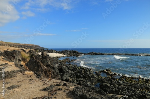 POINTE AU SEL , PITON DES ROCHES TENDRES , SAINT LEU , REUNION ISLAND , FRANCE 