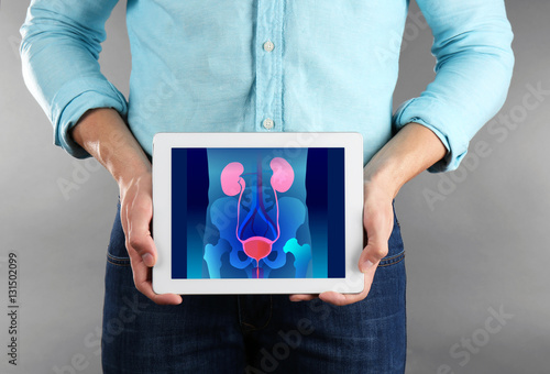 Man with tablet in hands. Urinary system on screen. Urology concept.