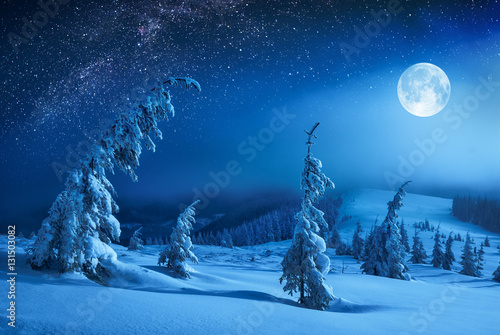 Canvastavla In a light of rising moon