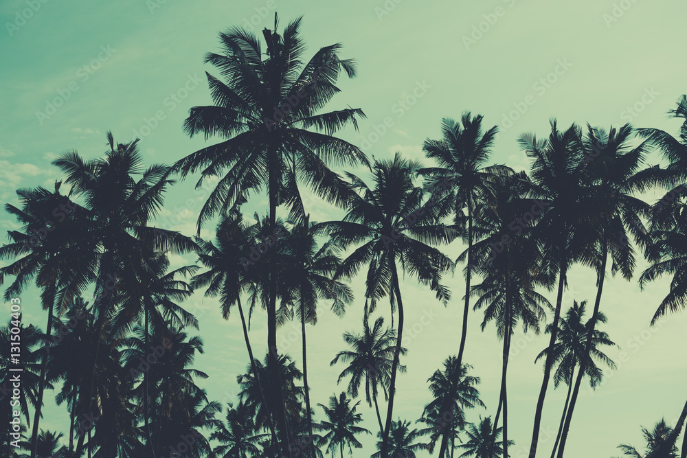 Palm trees on tropical beach, vintage toned and retro color stylized