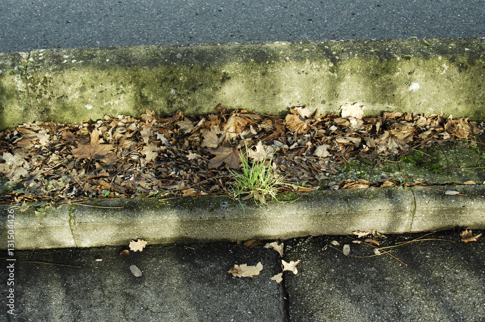 Obraz premium bordure de route et passage 