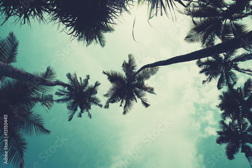 Palm trees on tropical beach over the sky with copy space  vintage toned and retro color stylized