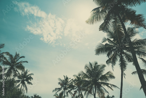 Palm trees on tropical beach  vintage toned and retro color stylized