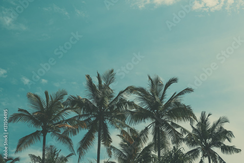 Tropical palm trees over the sky background  vintage toned and retro color stylized