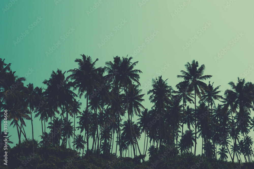 Naklejka premium Palm trees on tropical beach, retro color stylized