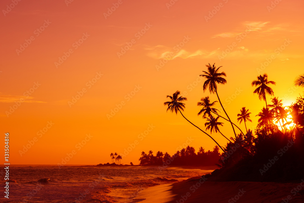 Fototapeta premium Sunset on tropical beach